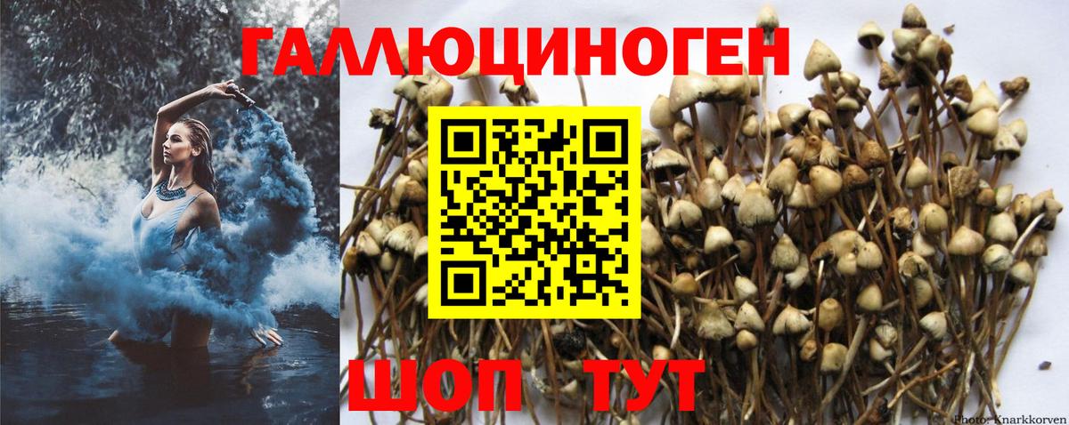 Псилоцибиновые грибы ЛСД  Галлюциногенные грибы Cubensis  купить закладку  Вход с VPN  Лянтор 